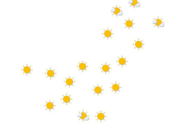Forecast