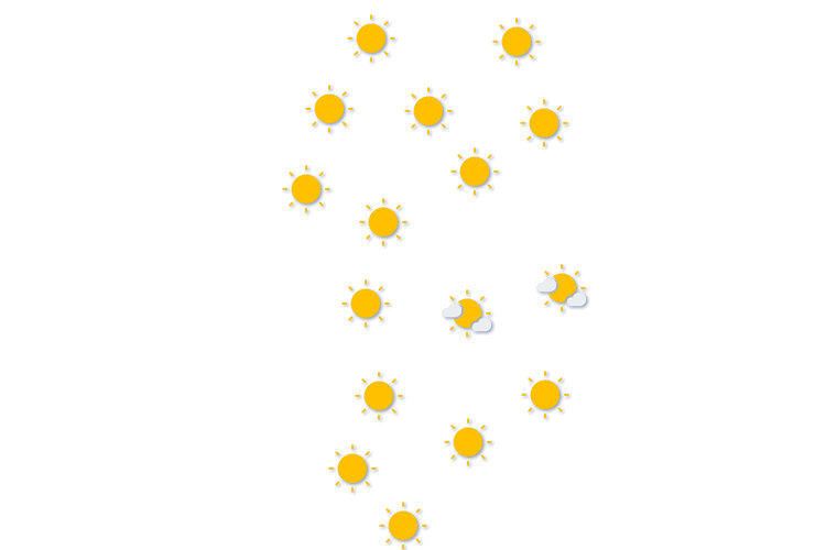 Forecast