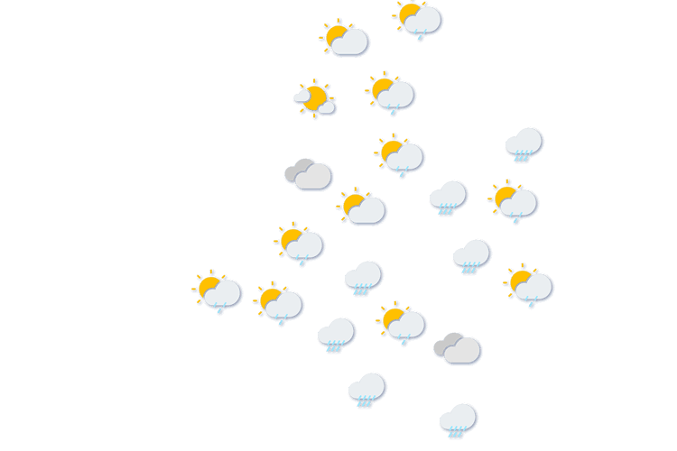 Forecast