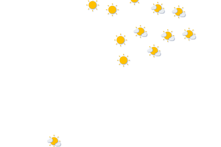 Forecast