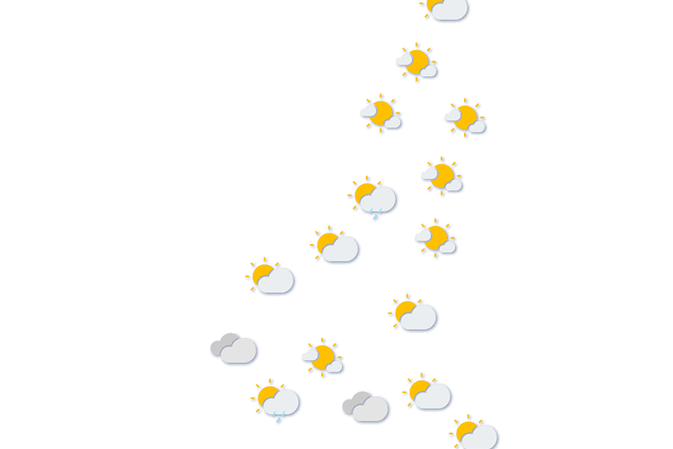 Forecast