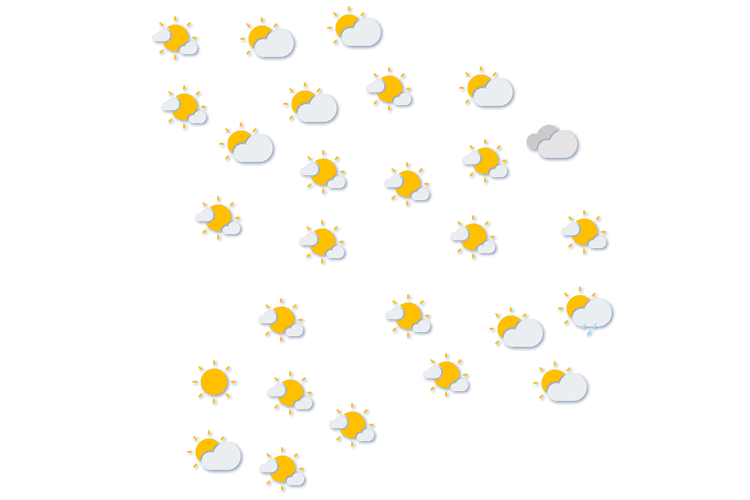 Forecast