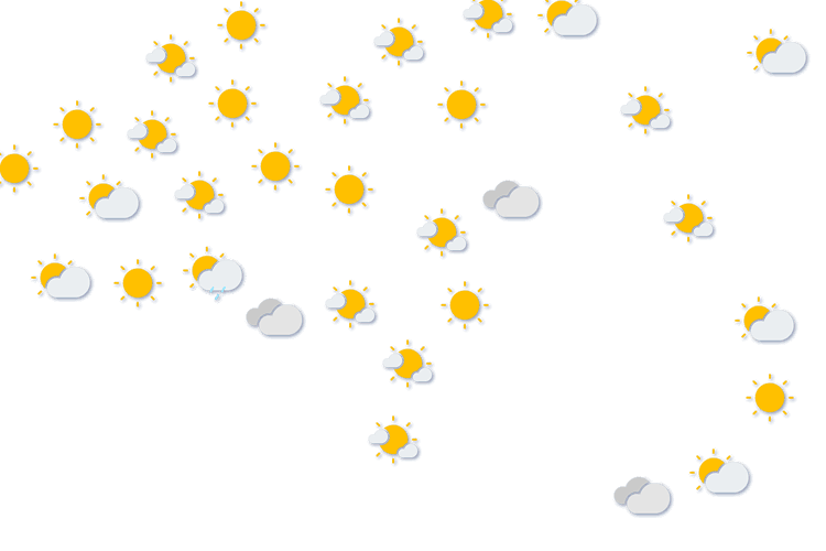 Forecast