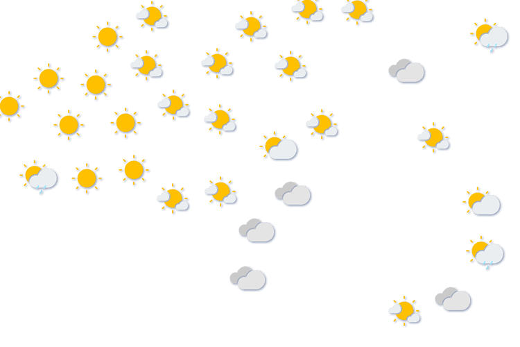 Forecast