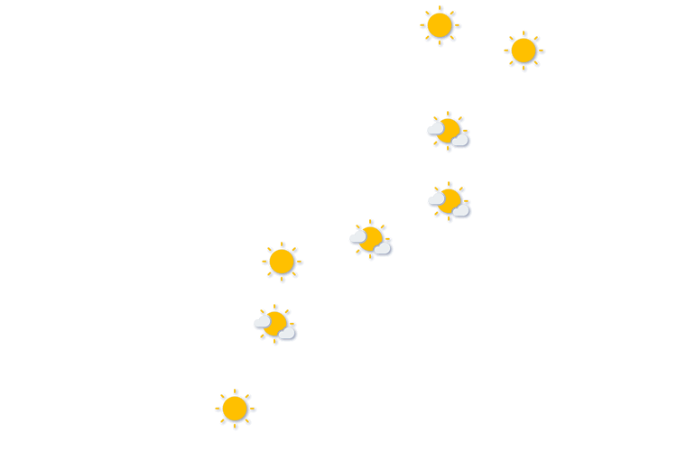 Forecast