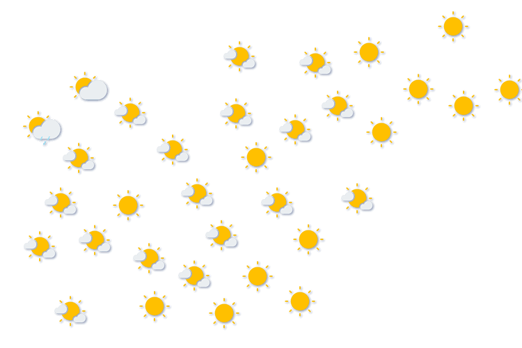 Forecast