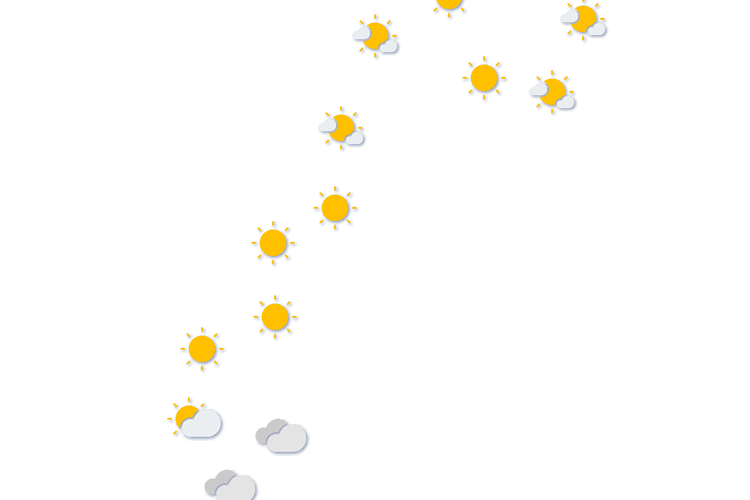 Forecast