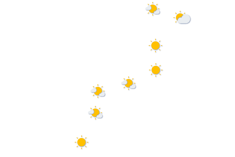 Forecast
