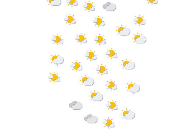 Forecast
