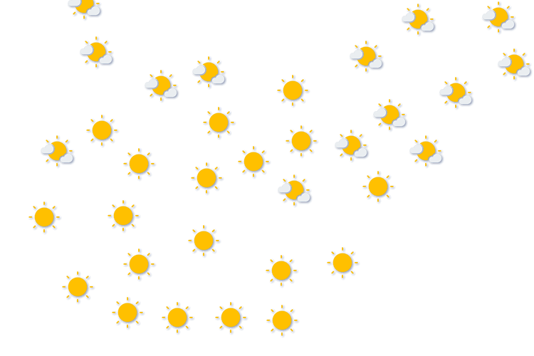 Forecast