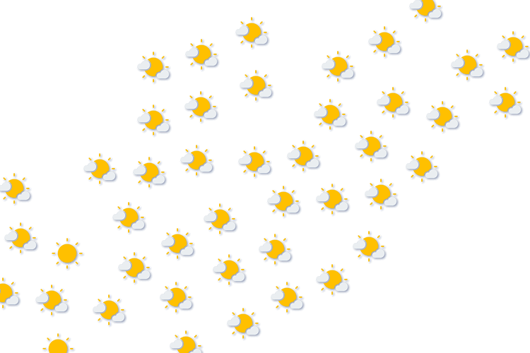 Forecast