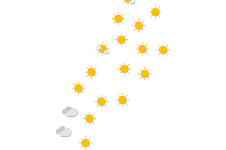 Forecast