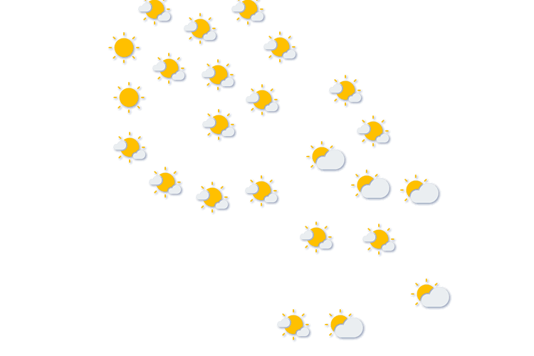 Forecast
