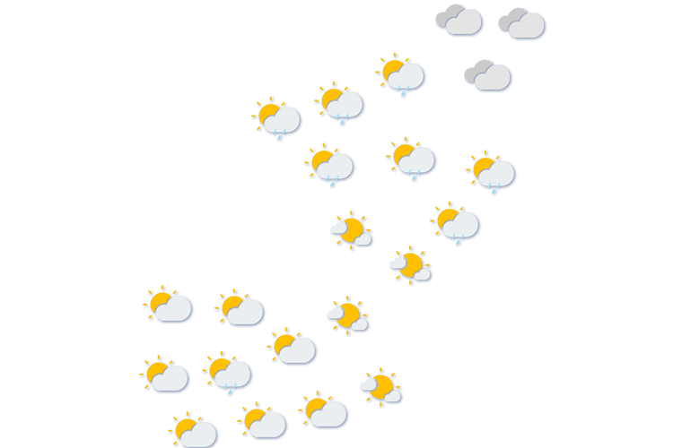 Forecast