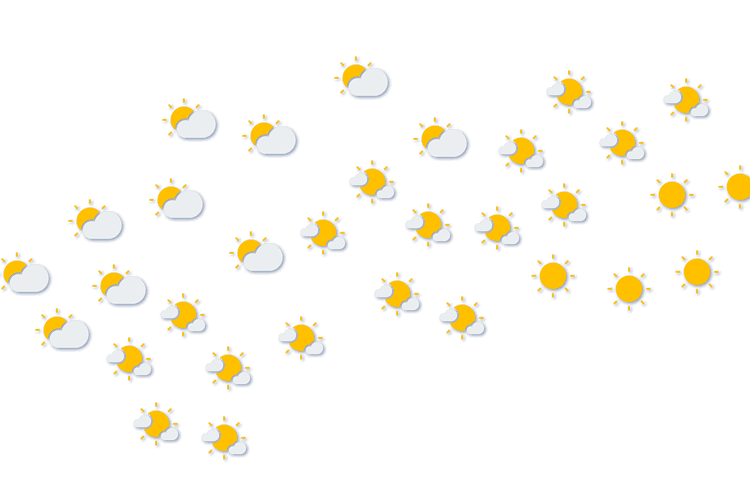 Forecast