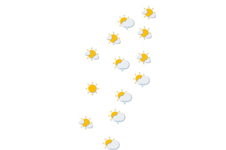 Forecast