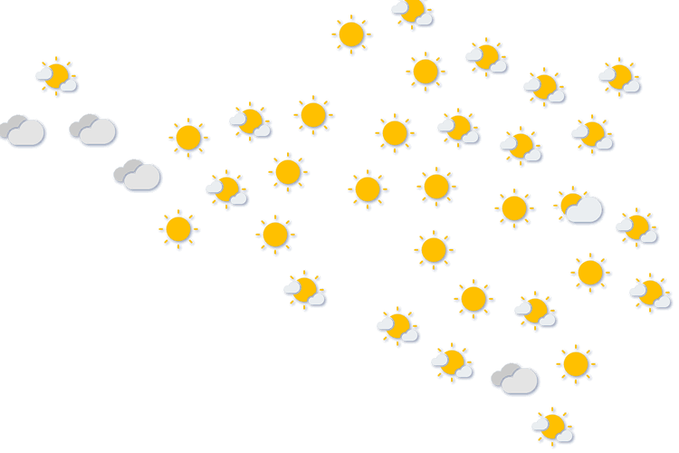 Forecast