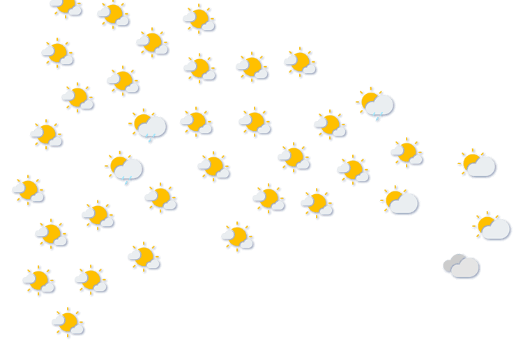 Forecast