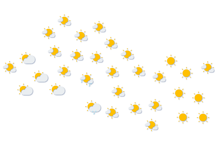 Forecast