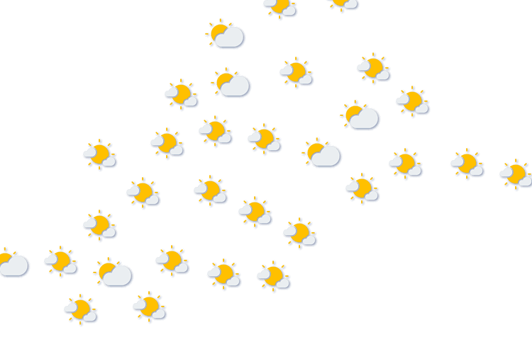 Forecast