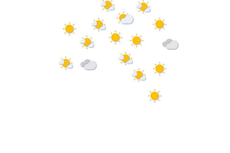 Forecast