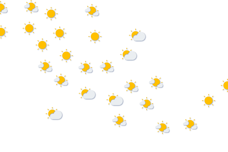 Forecast