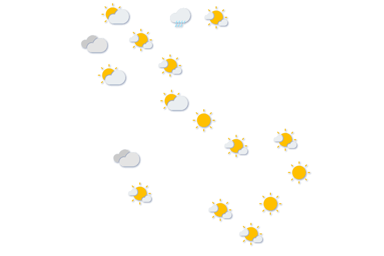 Forecast