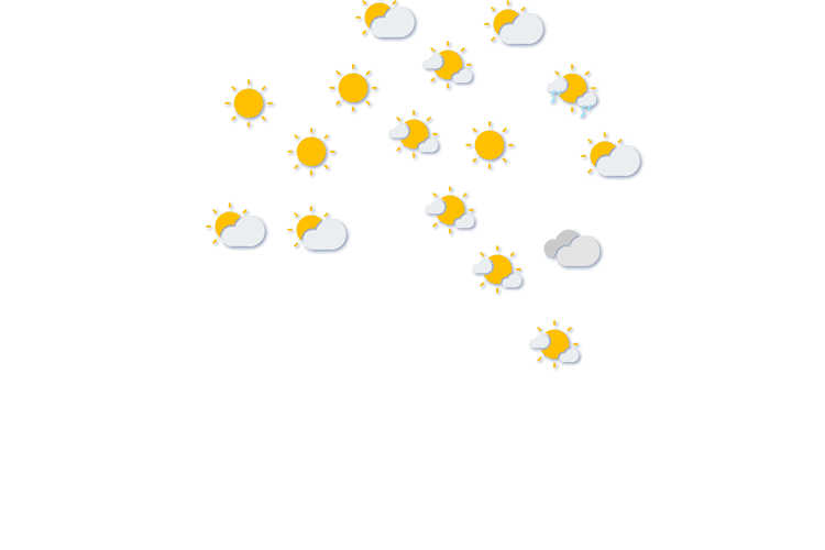 Forecast