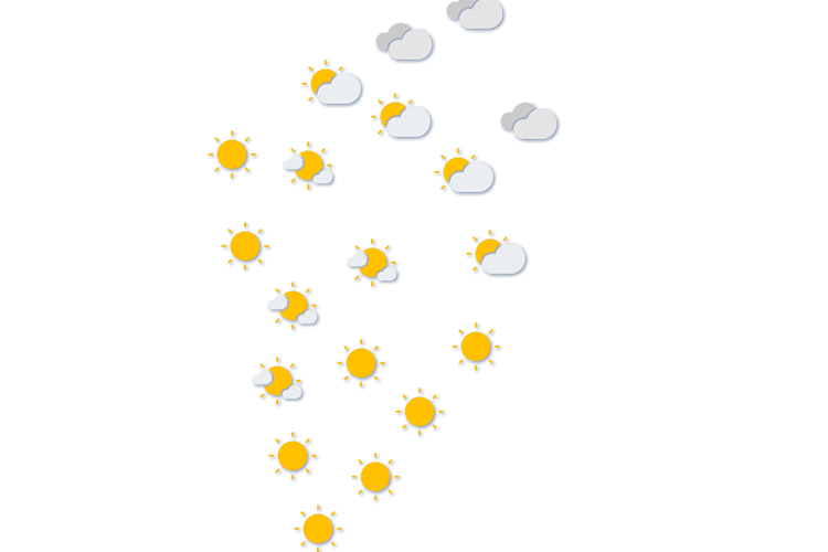 Forecast