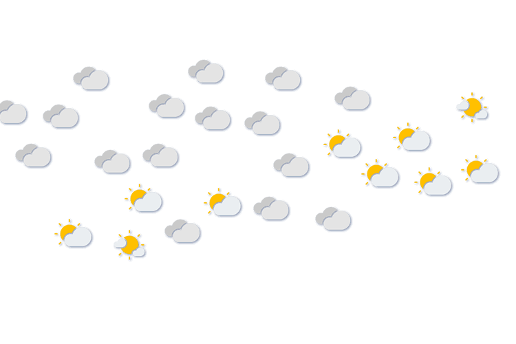 Forecast
