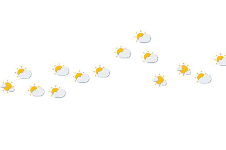Forecast