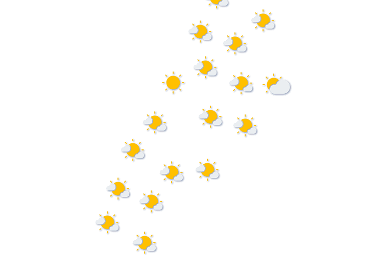 Forecast