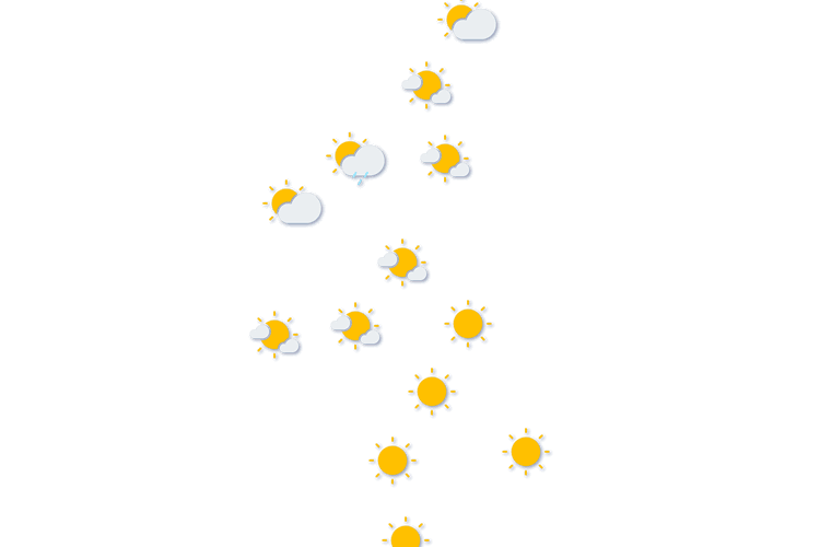 Forecast