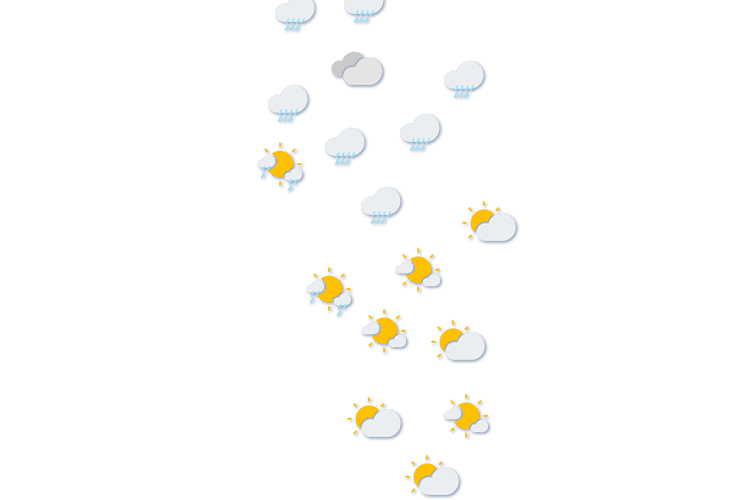 Forecast