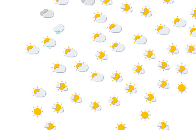 Forecast