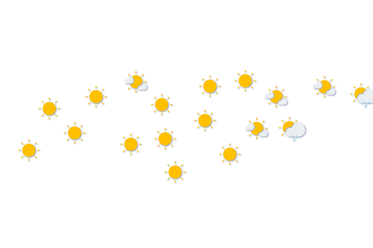 Forecast