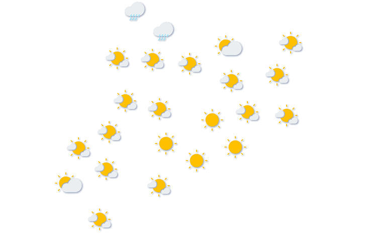 Forecast