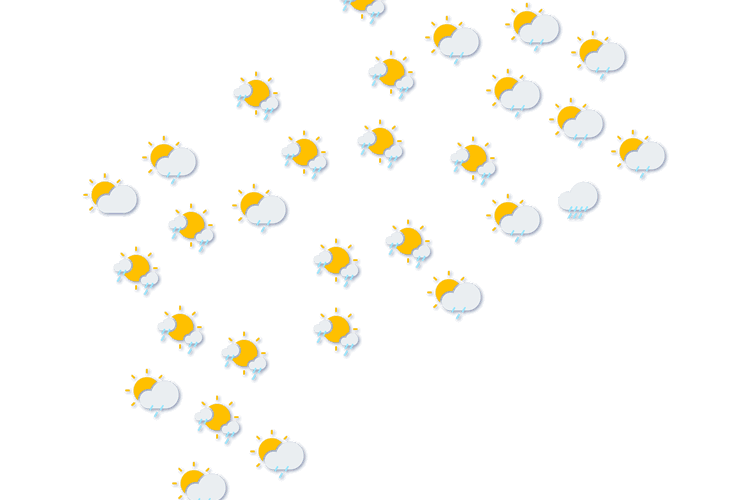 Forecast