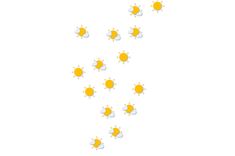 Forecast
