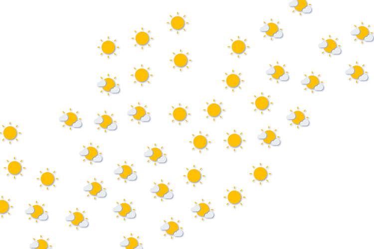 Forecast