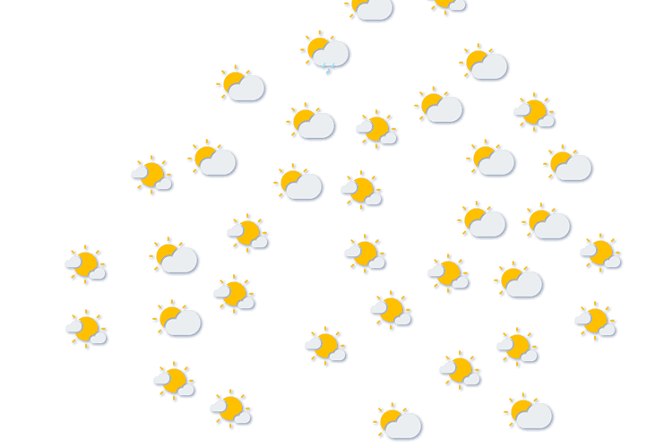 Forecast