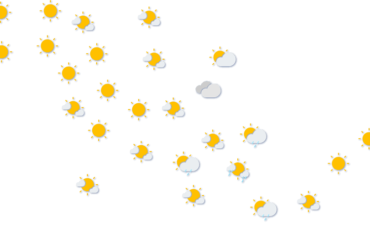 Forecast
