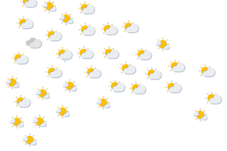 Forecast