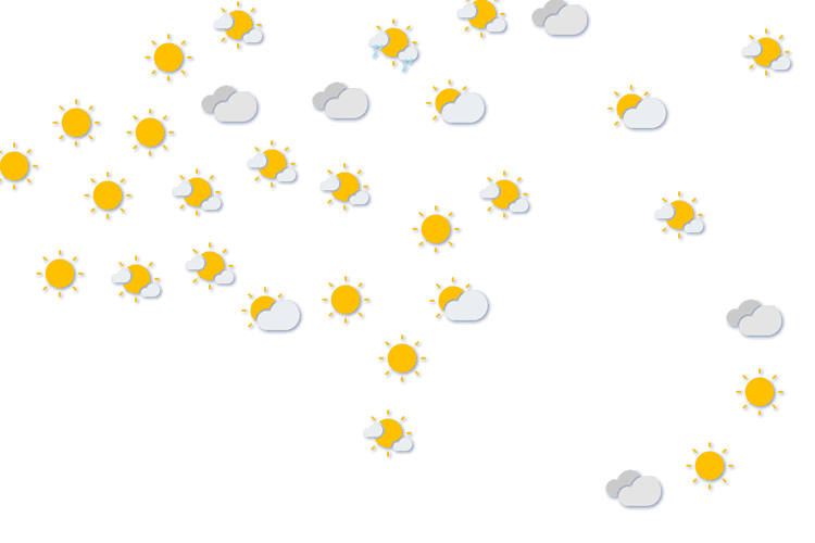Forecast