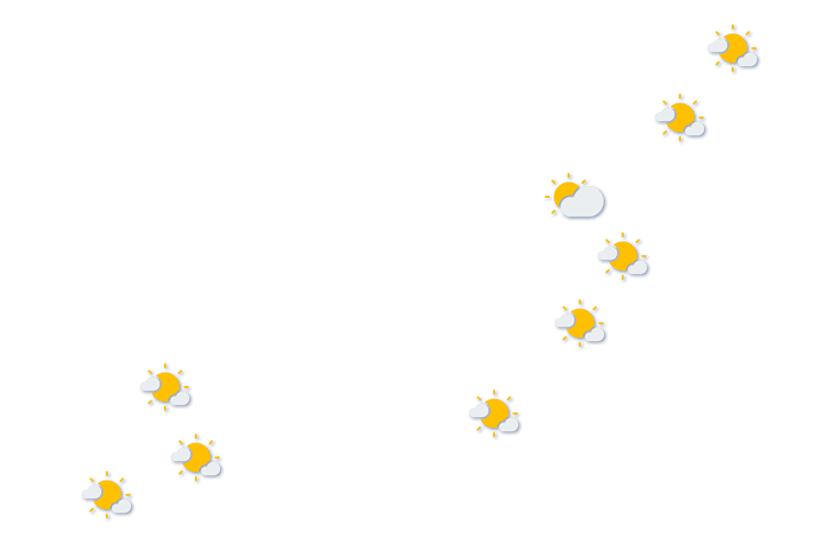 Forecast