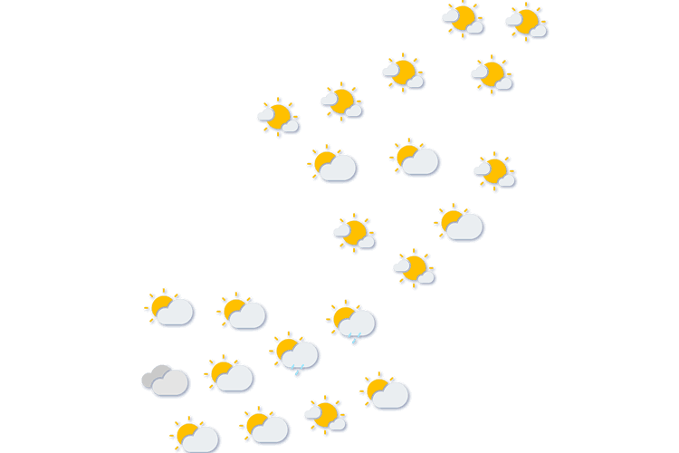 Forecast