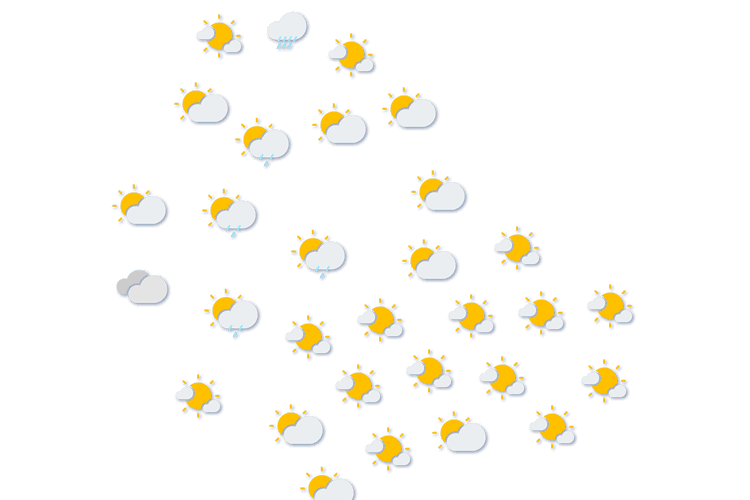 Forecast