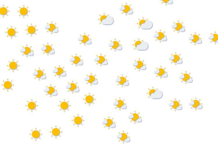 Forecast