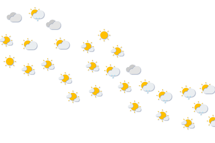 Forecast