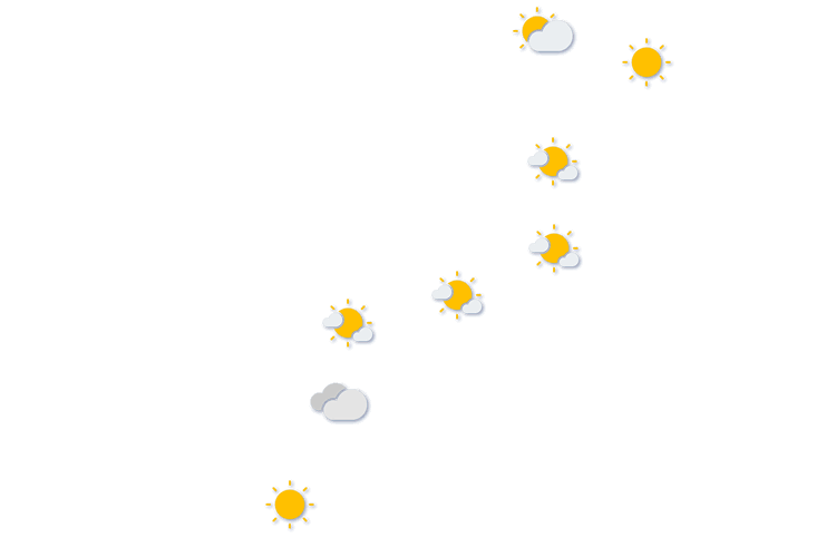 Forecast